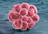 Clinical Data-Matched Patient Organoids Customize Drug-Resistant TNBC Treatment