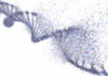 Matt Begemann: The Cancer-Killing CRISPR