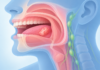 Saliva-Based Proteomics Reveals Immune Changes Linked to Oral Cancer Progression